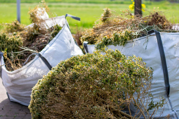 Best Basement Cleanout Services  in Lakeland, TN